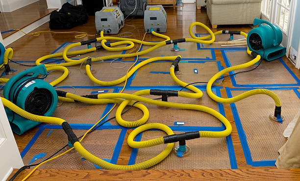 Professional Water Extraction technician working in Radnor, OH